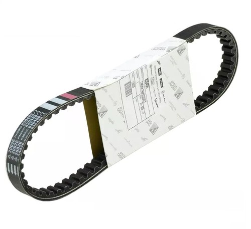 Cinghia trasmissione - cinghia,
